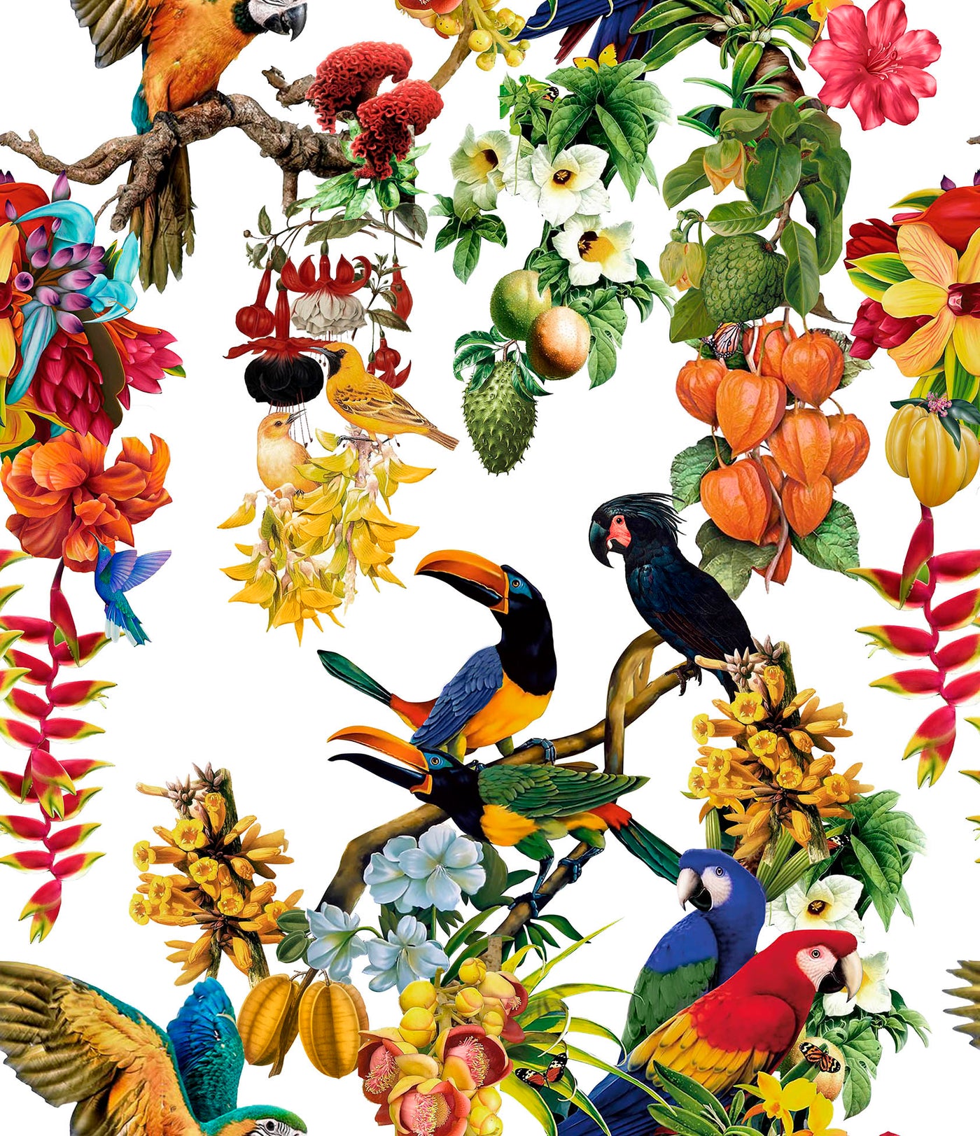 ESPECIAL TROPICAL
